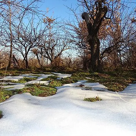Il Borgo Dell' Etna * Сант'Альфио
