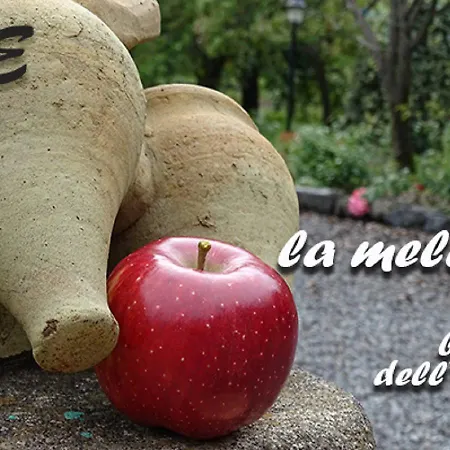 Il Borgo Dell' Etna Отель типа 