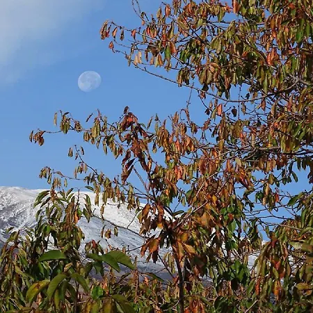 Il Borgo Dell' Etna